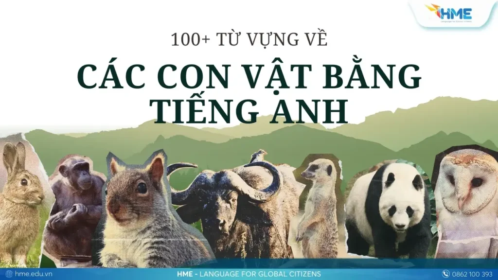 Tổng hợp 100+ từ vựng các con vật bằng tiếng Anh